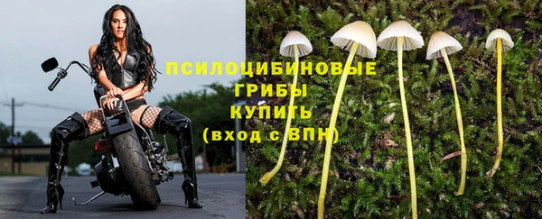 спайс Беломорск