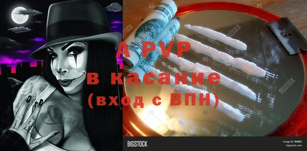 амф Белокуриха