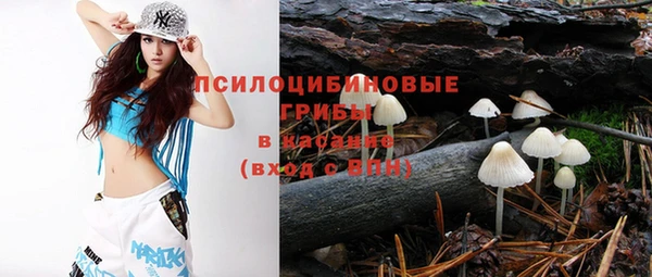 спайс Беломорск